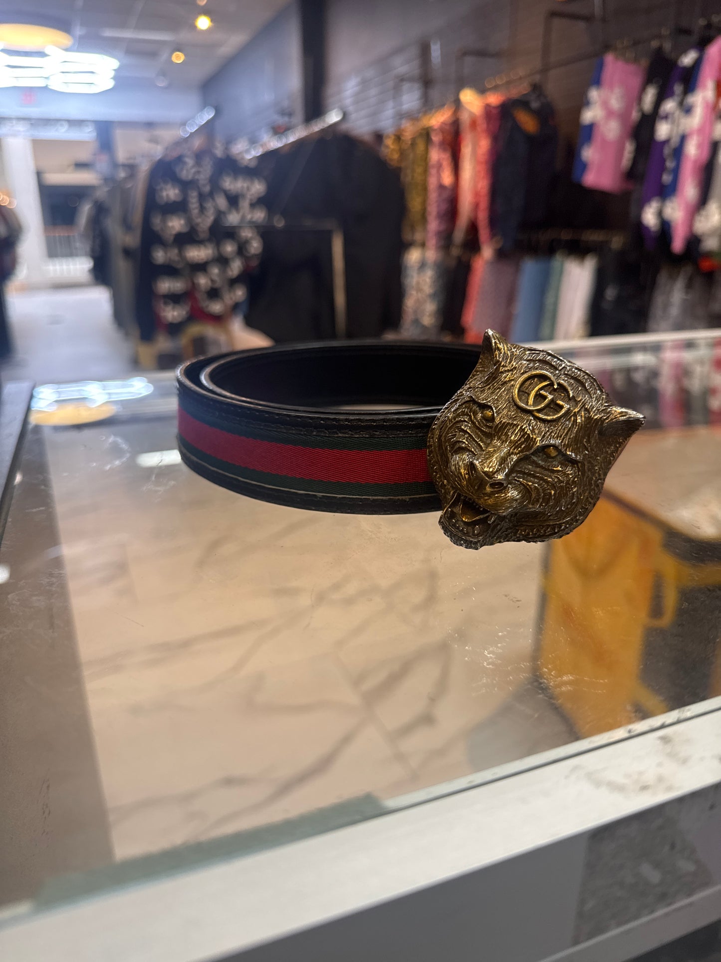 gucci belt