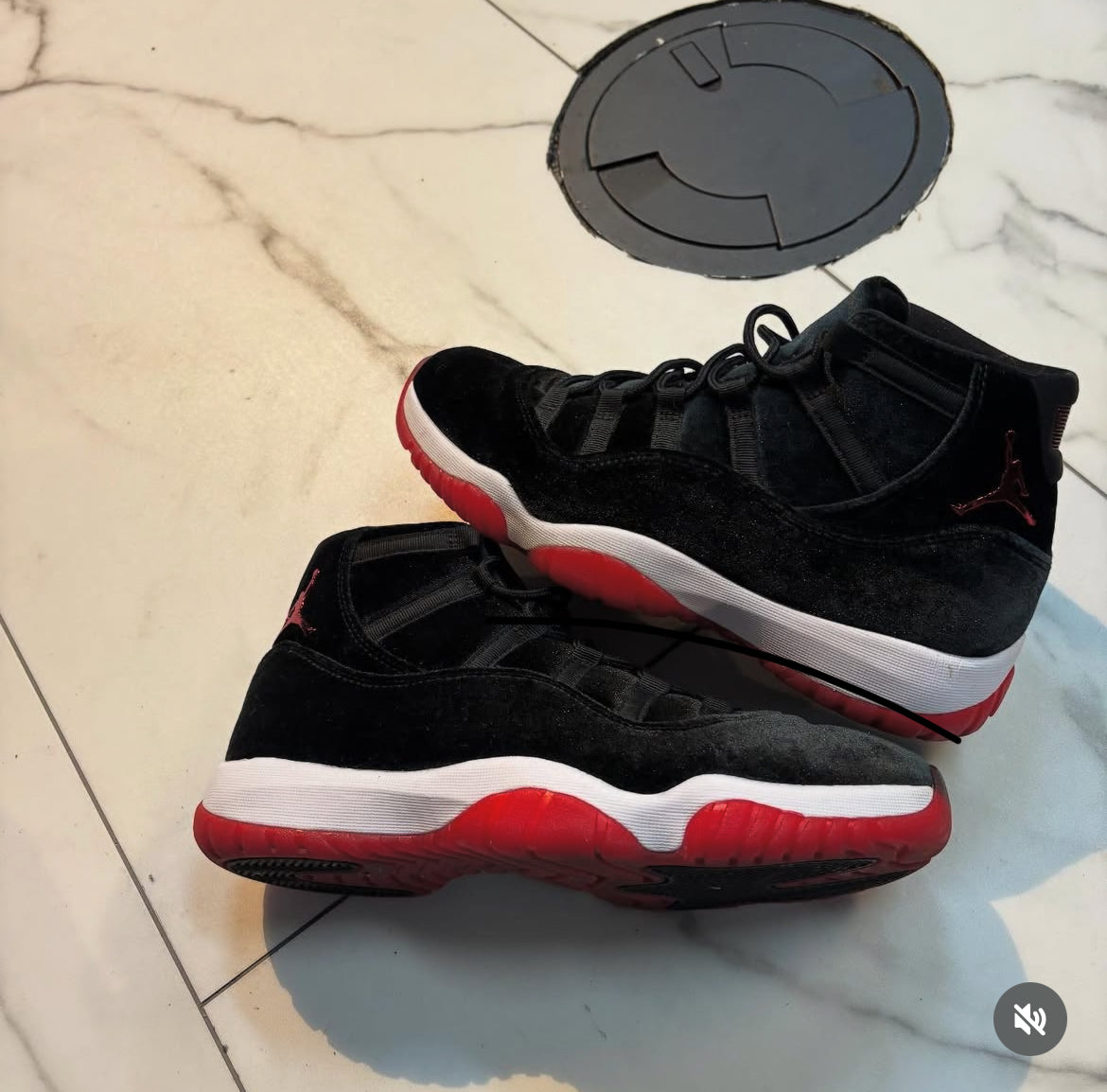 Velvet breds 11s used