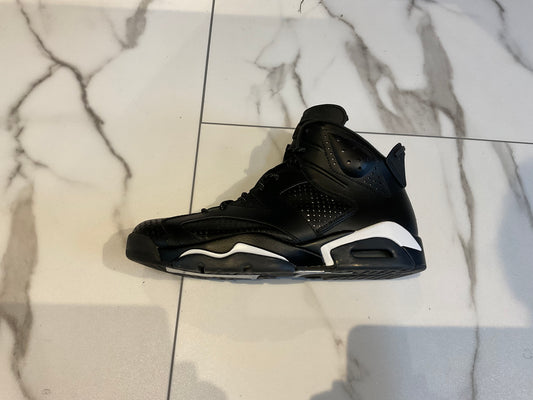 Jordan 6 black cat